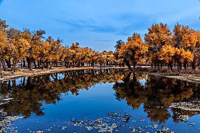 《街头霸王6》新角色“特瑞”角色指南 9月24日上线